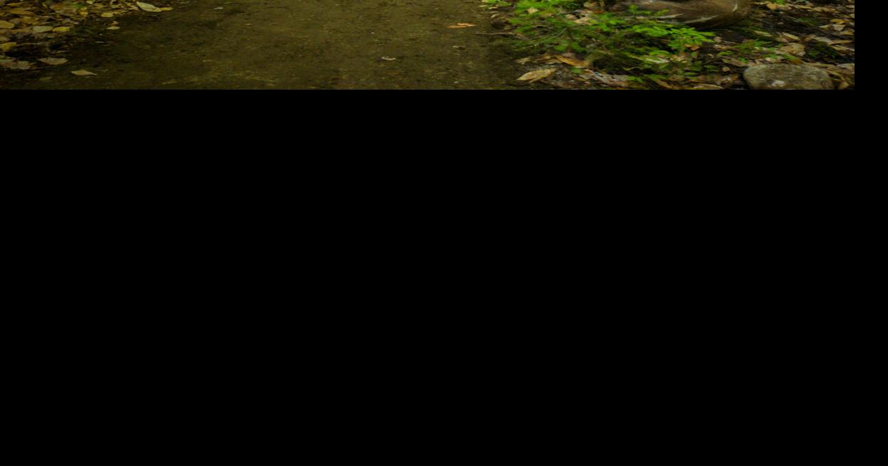 Trails, access expand at Stratton Recreation Area