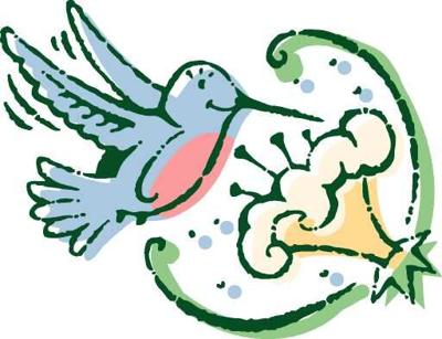 hummingbird.jfif