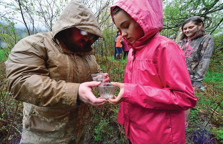 NewBrook students release brook trout