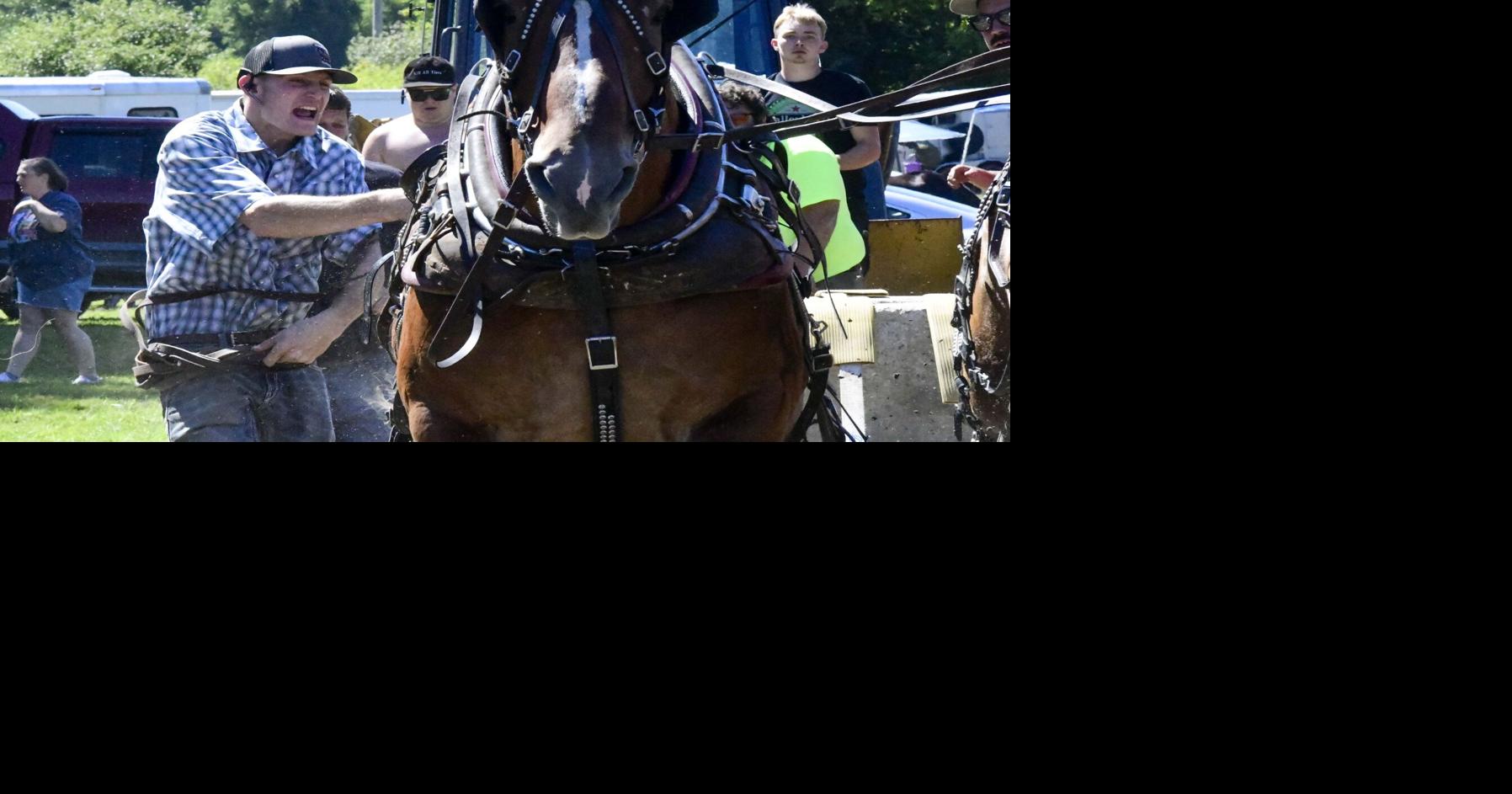 'A sweet, sweet tradition': Guilford Fair remains a Labor Day staple