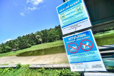 Blue-green algae closes Saxtons River Rec