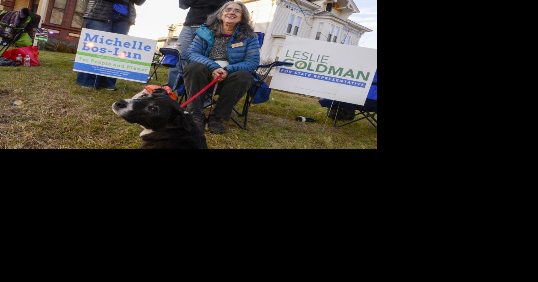 Goldman won't seek reelection to Windham 3 District