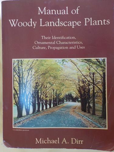 Dr. Dirr's book is my bible for woody plants.JPG