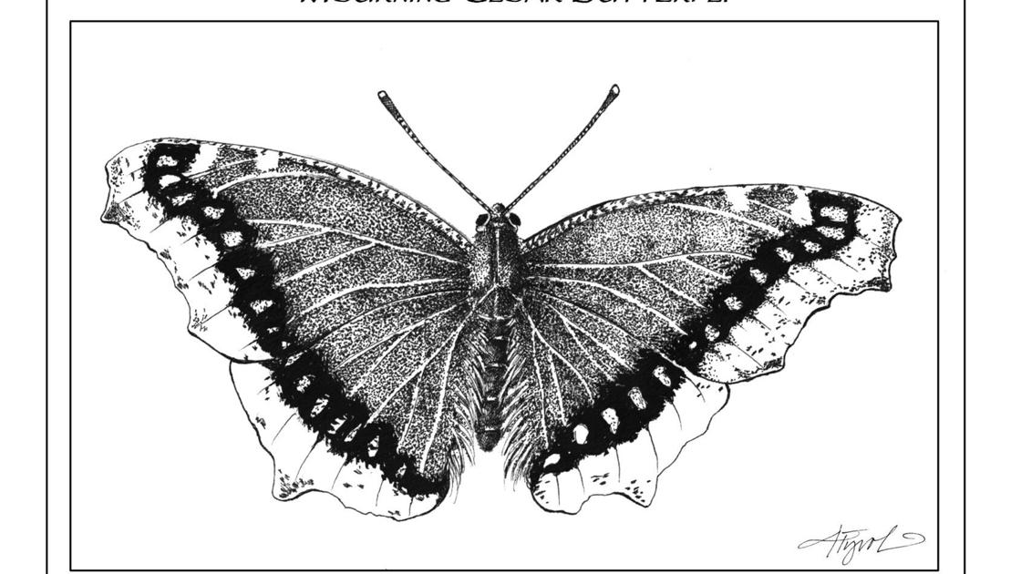 The skin story: How bugs spend the winter | Neighborhood-news