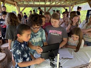 Learning about pollinators