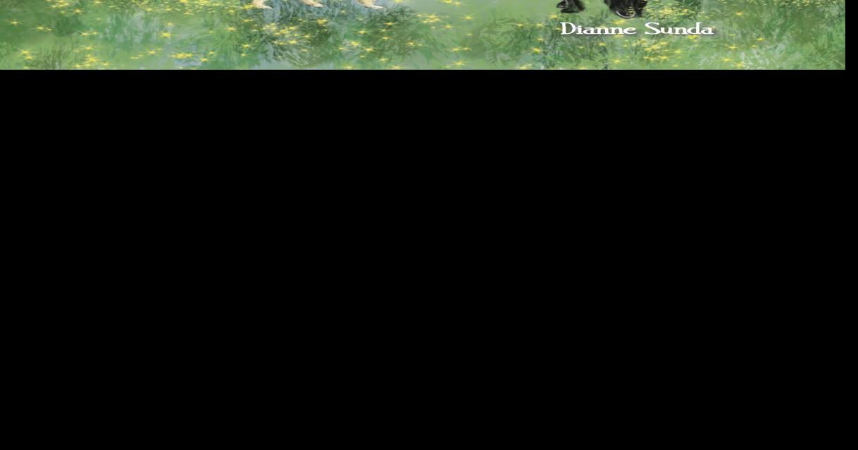 Coronation events featured in colorful children's book Entertainment