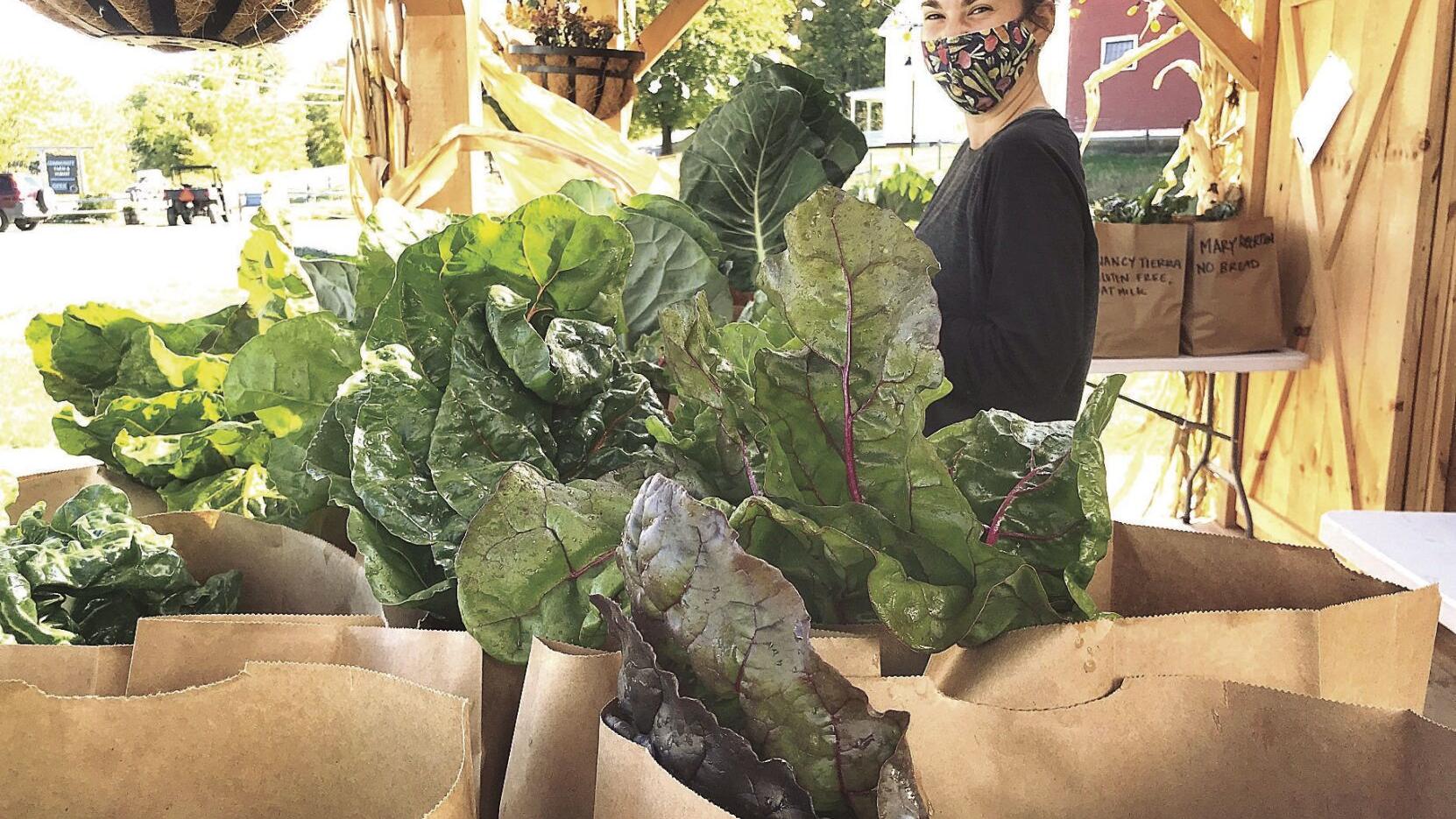 Gannett grant supports Retreat Farm's Community Food Project | Community-news - Vimarsana News