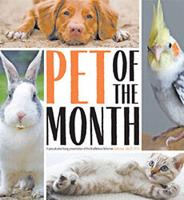 Pet of The Month