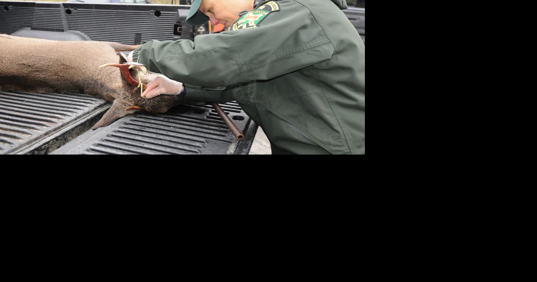 Vermont’s regular deer season starts Nov. 15