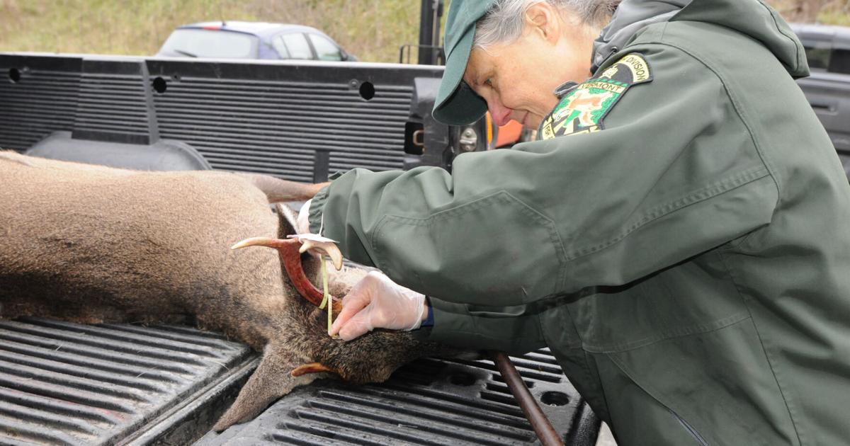 Vermont’s regular deer season starts Nov. 15
