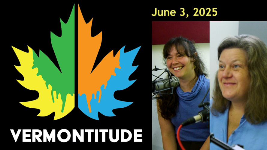 Unending Positive Energy at the Northlands Festival