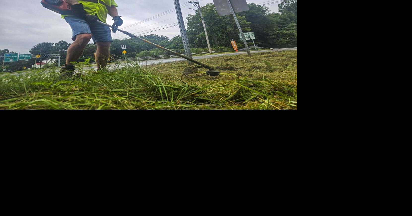 Knocking down the tall grass