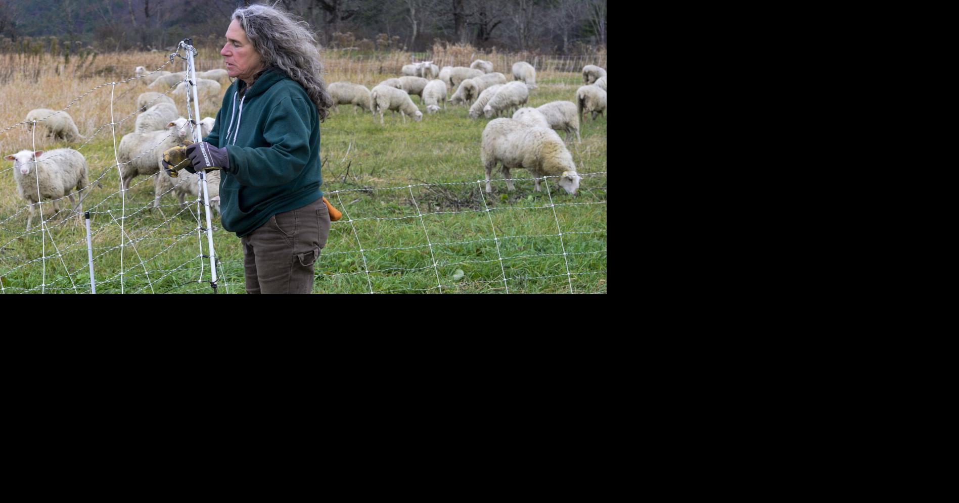 Community Profile | 'I’ve found my place': Ruthann Rudel's essential work with Silent Spring