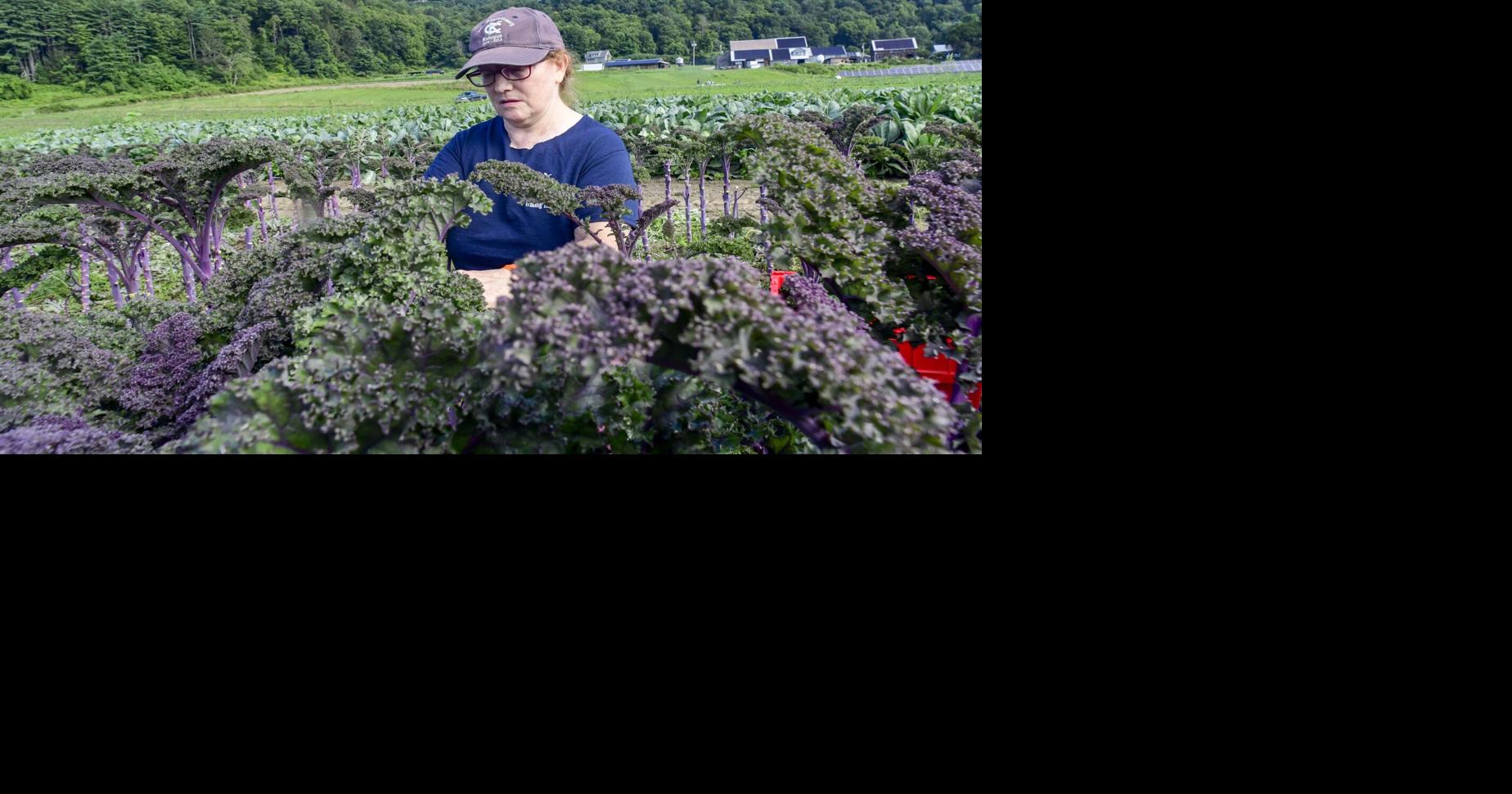VIDEO: Cleaning for a cause