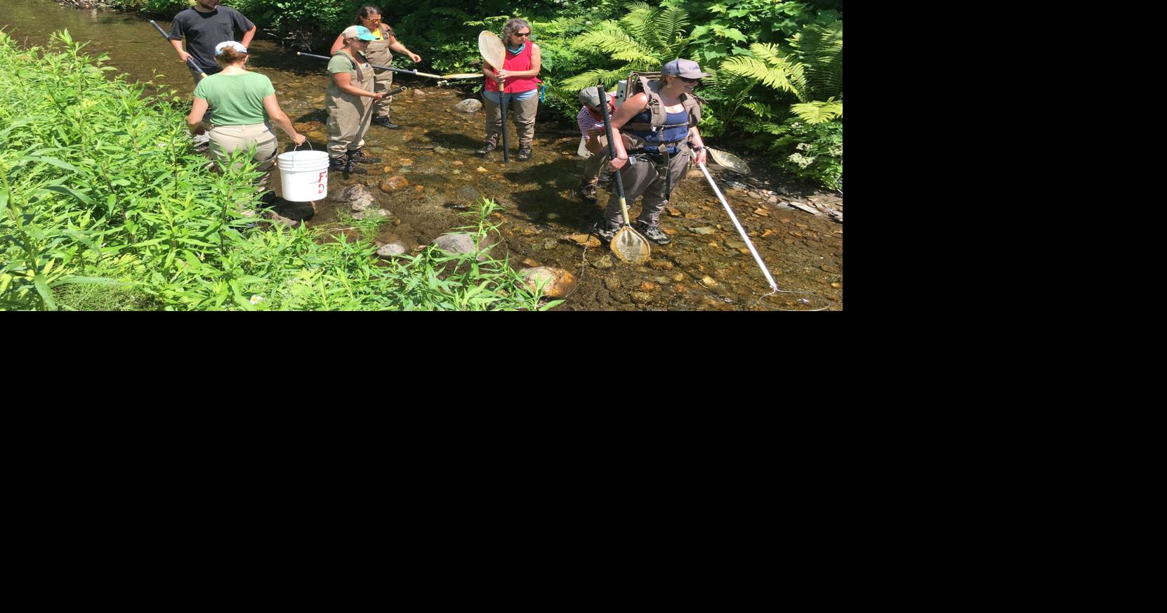 Vermont offering special wildlife course for educators