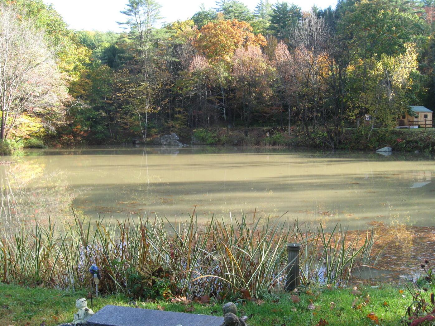 Bartonsville Pond