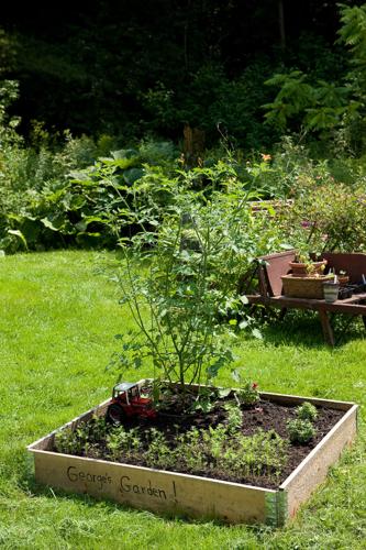 A small raised bed is great for a child.jpg