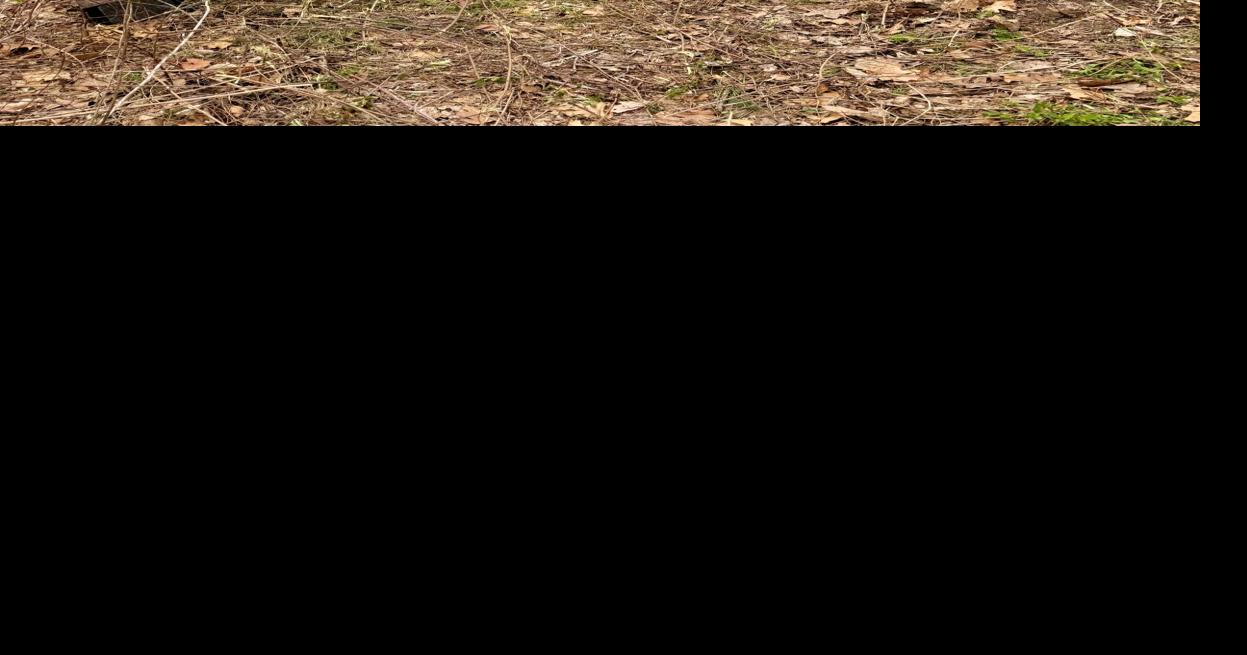 Commentary | Jason Cooper and Alex Wilson: New trail will be a centerpiece of Brattleboro's 'waterfront renaissance'