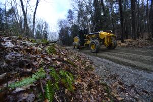 Brattleboro to host online meeting to discuss one-mile troubled section of Black Mountain Road