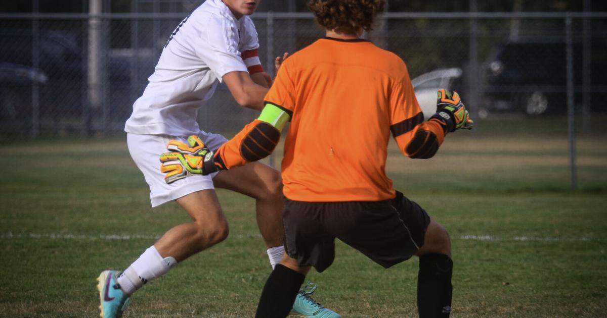 Roundup: Wildcats to play in John Werner Tournament championship game