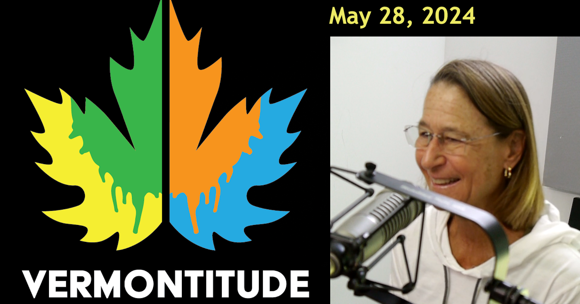 Vermontitude Episode 70: Big Brothers Big Sisters update, with guest Ilene Winters - Vimarsana News