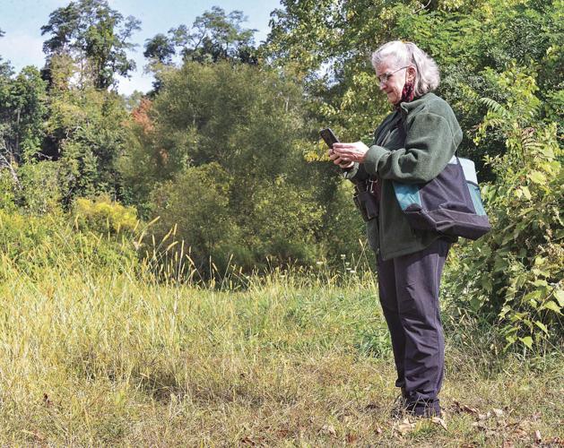Focus on flight: Bird watching at the West River ...