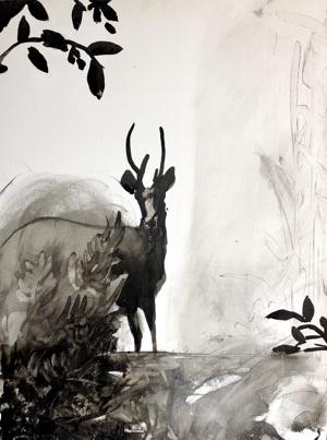 New exhibits open at Brattleboro Museum & Art Center June 22