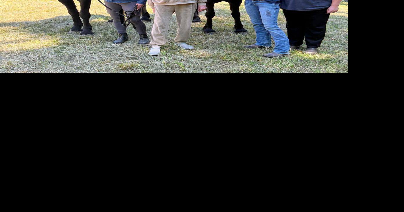 A 'good thing': Martha Stewart adopts two 'rescued' Vermont  Friesians