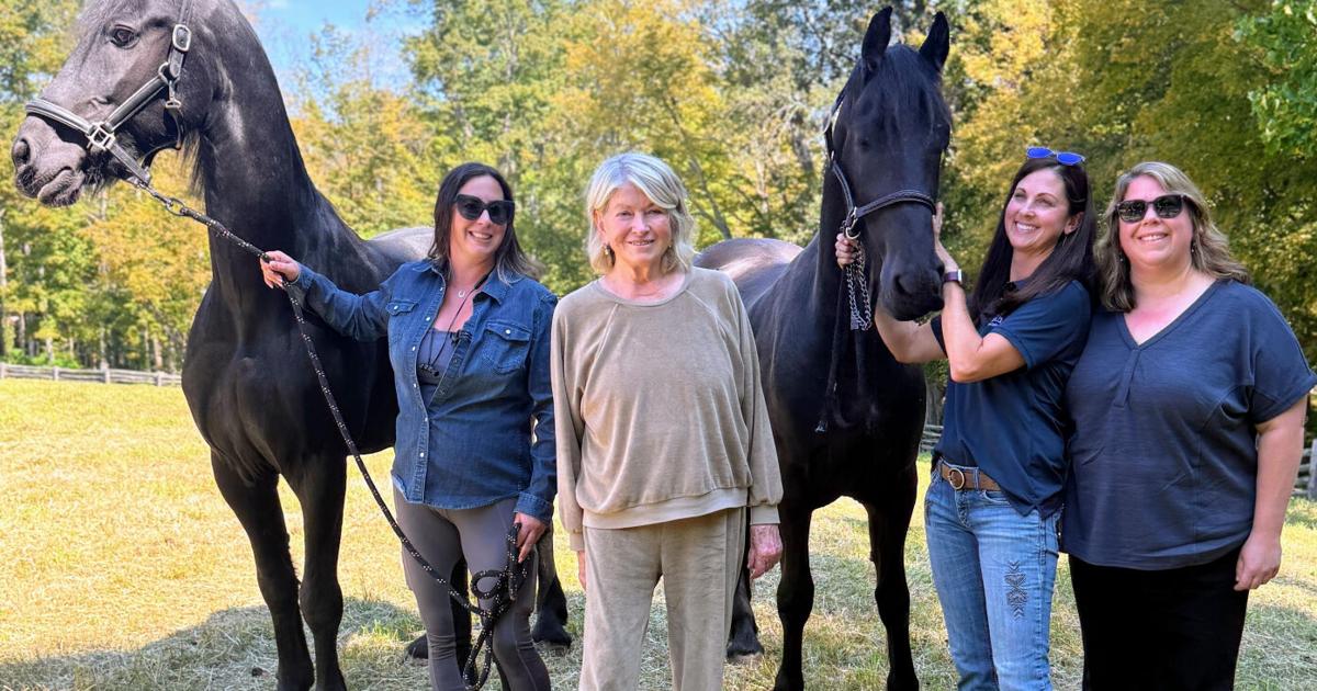 A 'good thing': Martha Stewart adopts two 'rescued' Vermont Friesians
