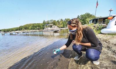 Climate change most likely suspect in Spofford Lake algae growth