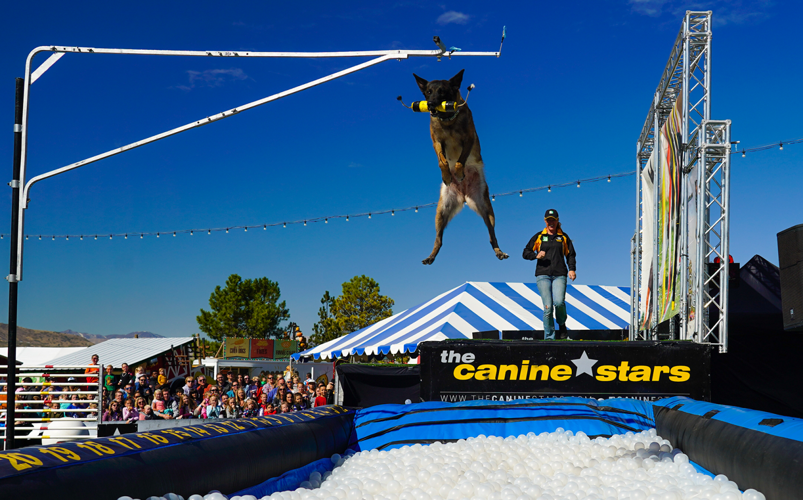 Project Dog Stars Weekly planner: Dog stars, Minnesota songwriters, more coming to Red ...