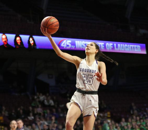 Albany's defense effective as Goodhue falls short in state semifinal ...