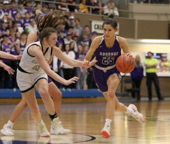 PHOTOS: Goodhue wins Section 1AA title (March 10, 2023) | Sports ...
