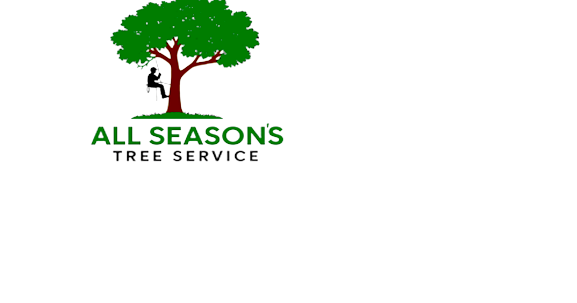 Business Spotlight: Twin Cities tree service streamlines operations after 44 years