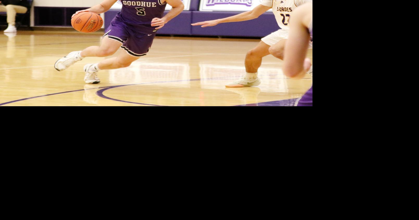Goodhue brings a potent offense to state tournament | Sports ...
