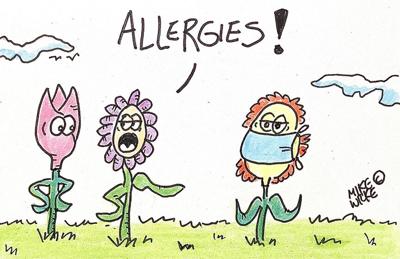 Editorial cartoon Mike Wilke allergies