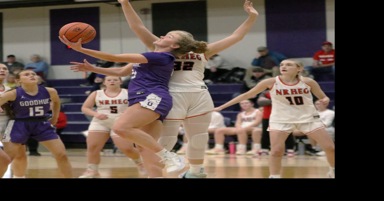 Lifetime of basketball paying dividends: Lodermeier is area player of ...
