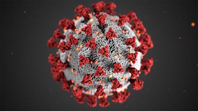 Coronavirus RTSA