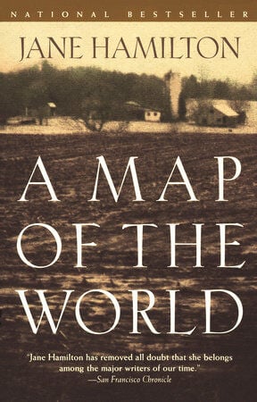 A Map of the World by Jane Hamilton.