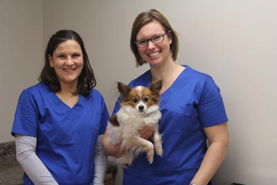 Black Dog Animal Hospital Arrives on Old West Main | Business |  