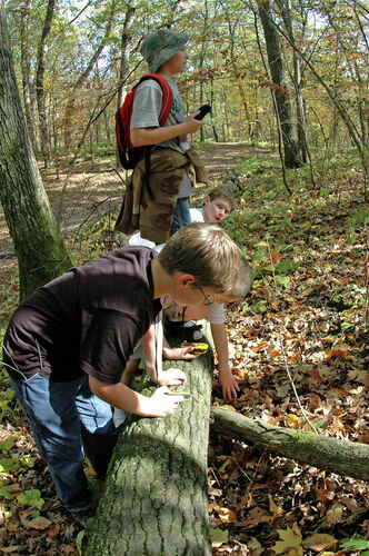 Geocaching: High-tech way to be outdoors | Things To Do ...