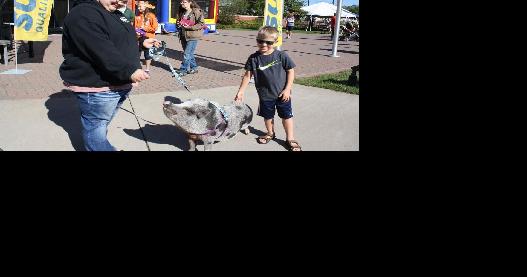 Bacon Bash now largest free bacon festival in U.S. Things To Do