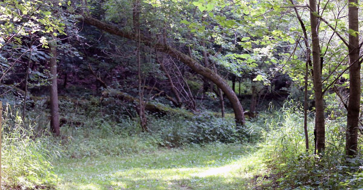 Miesville Ravine Park Reserve provides easy fun Outdoors