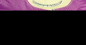 Vicky A. Curtis - Vimarsana News