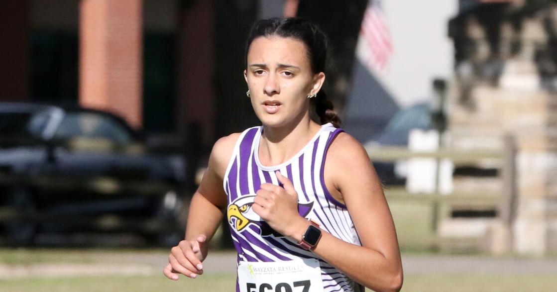 Sheena Rippentrop Rippentrop finds right fit, commits to Mankato | Sports ...
