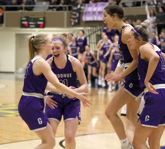 Lodermeier shines for Goodhue in section final Wildcats make