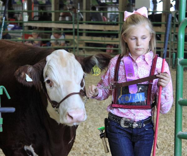 'Butter Than Any Udder Fair' Day 2 | Things To Do | republicaneagle.com