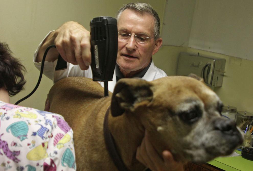 Longtime Newport veterinarian to close shop, open mobile vet service