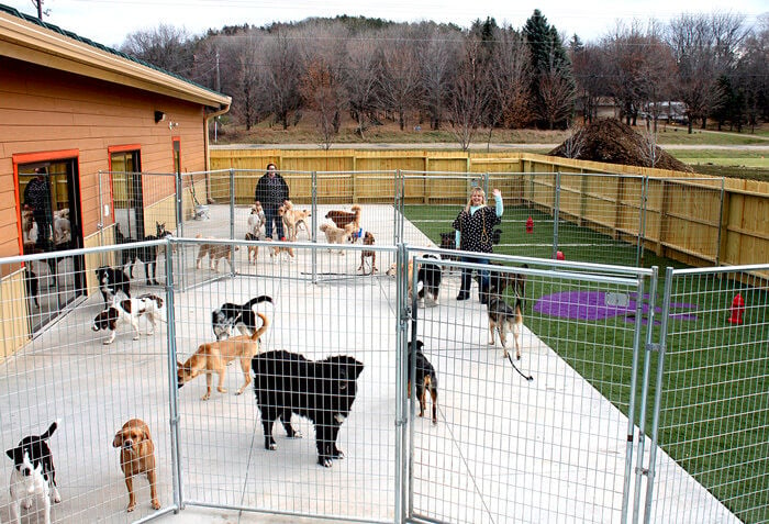 New, expanded Paws and Claws draws rave customer reviews | Business |  