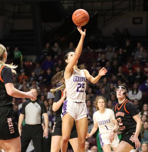 Goodhue's stars step up to lead team to state championship: Gadient ...